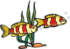 two fish