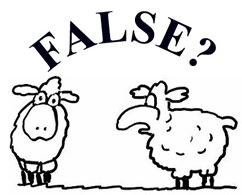 falsesheep