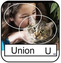 unioncatpic