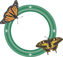 mbutterflies
