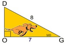 orangetriangledog