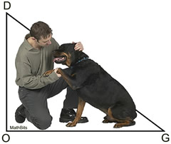 dogtriangle