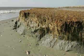 beach erosion