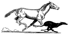 horse and dog
