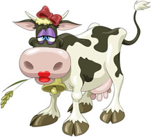 bovine